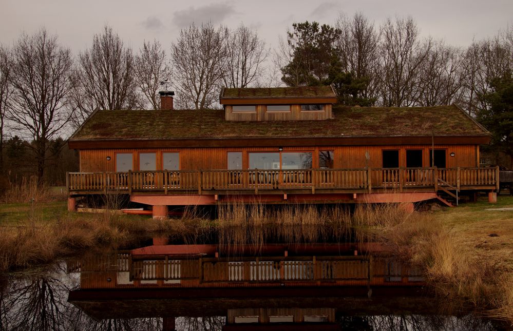 Das Haus im Moor