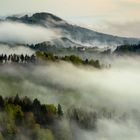 Das Haus im Nebel