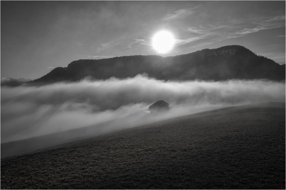 DAS HAUS IM NEBEL