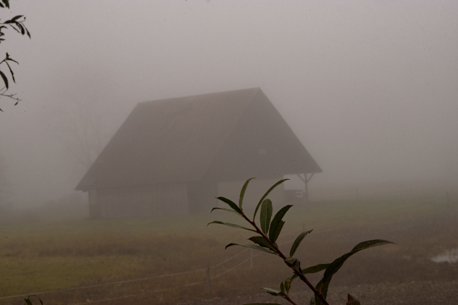 das Haus im Nebel
