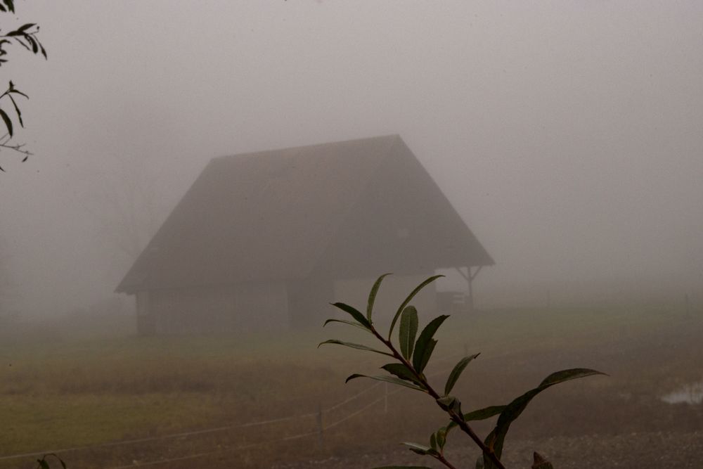 das Haus im Nebel