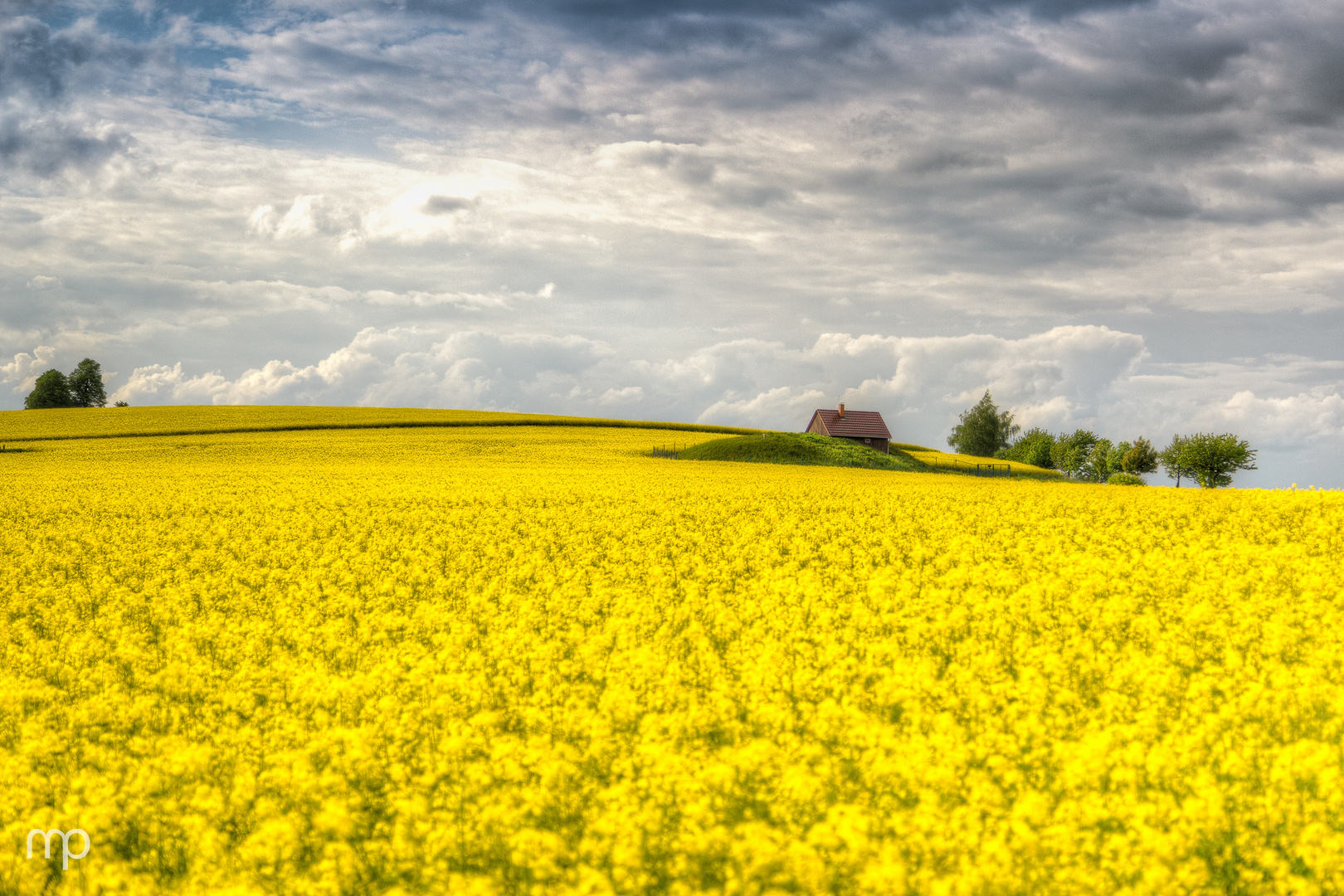 Das Haus im Raps