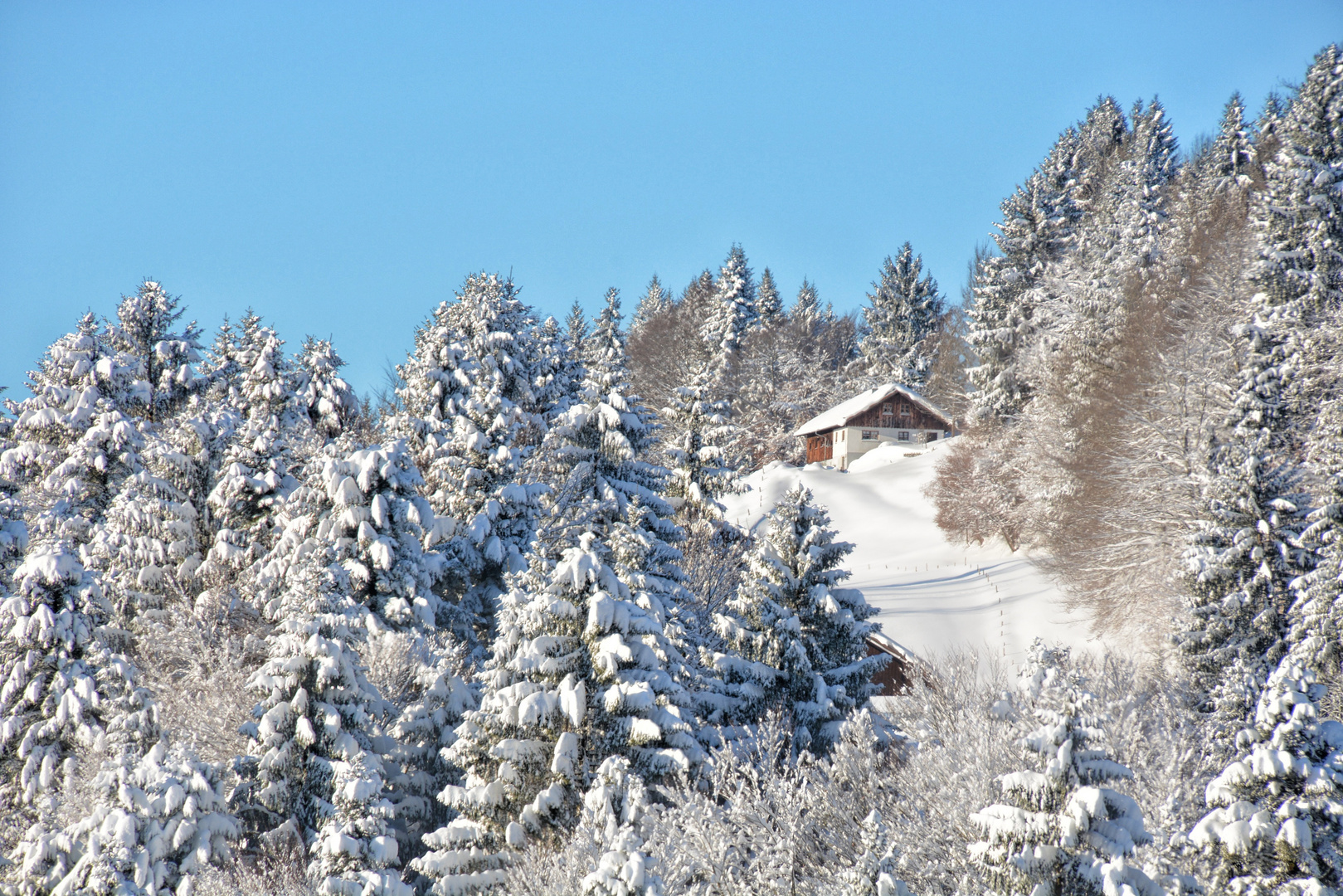 das Haus im Schnee