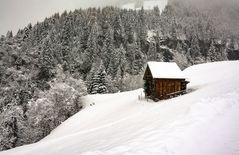 Das Haus im Schnee 