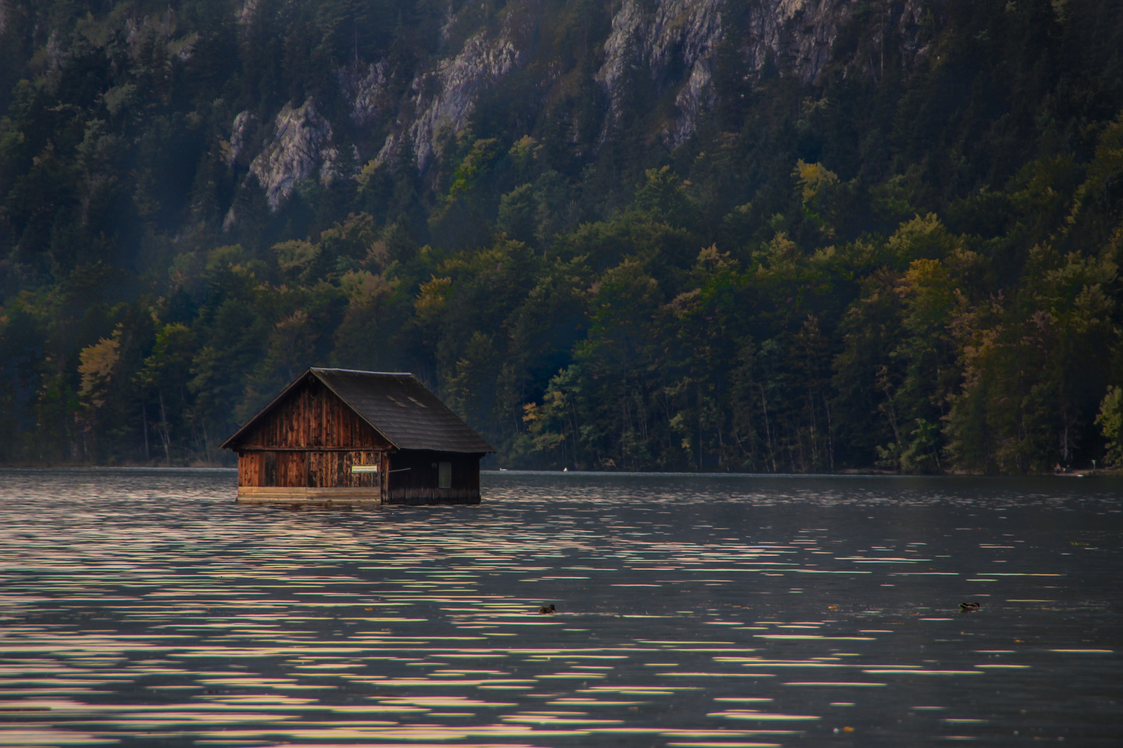 Das Haus im See