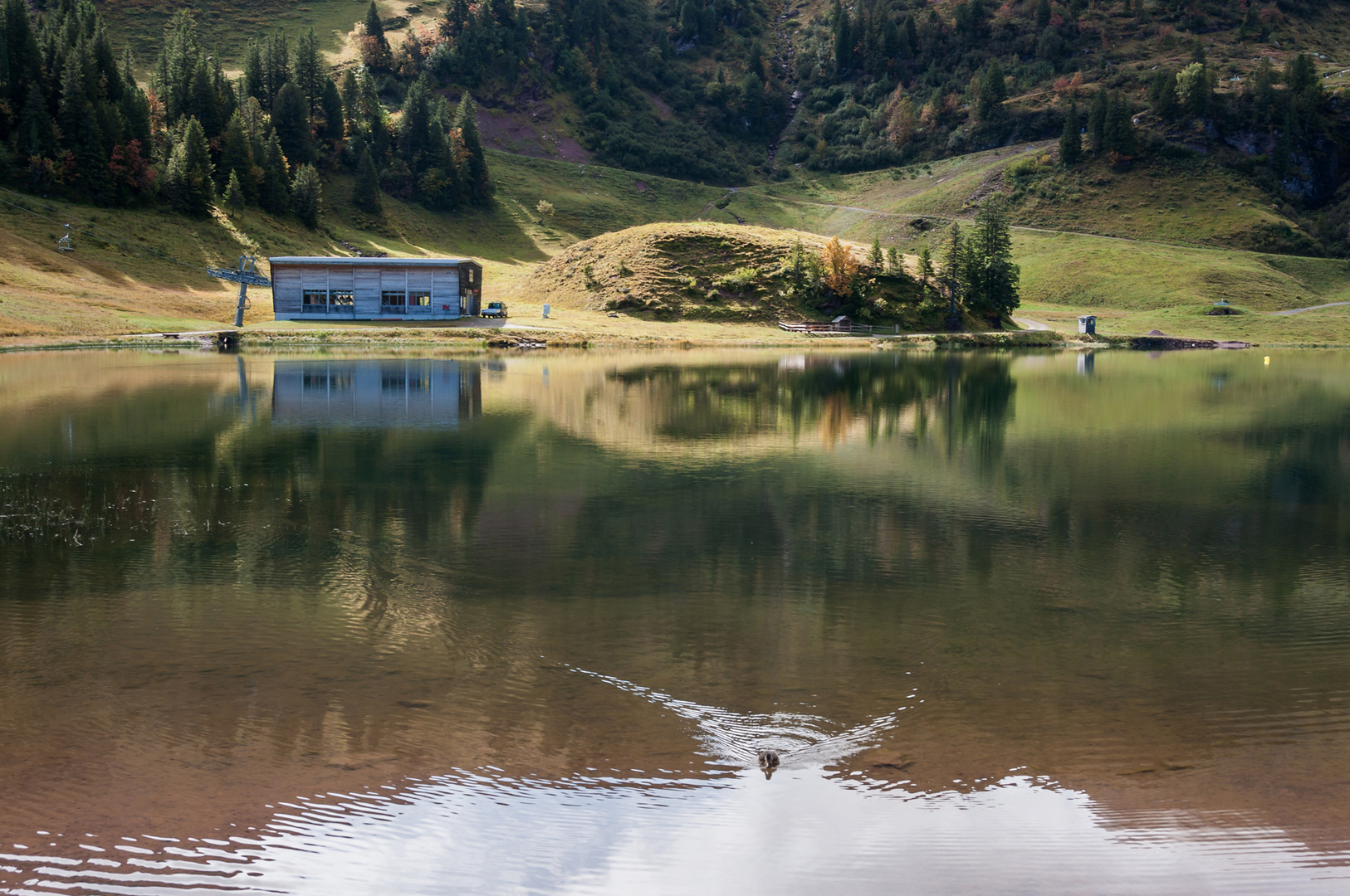 Das Haus im See