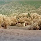 Das Haus im Tal