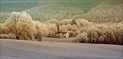 Das Haus im Tal