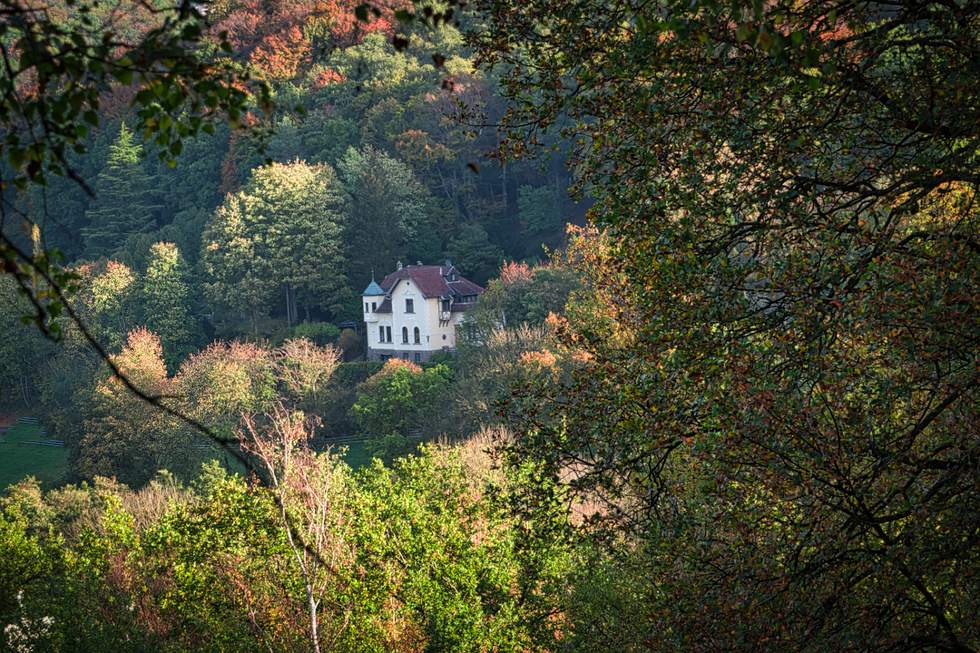 Das Haus im Wald