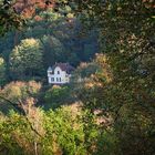 Das Haus im Wald