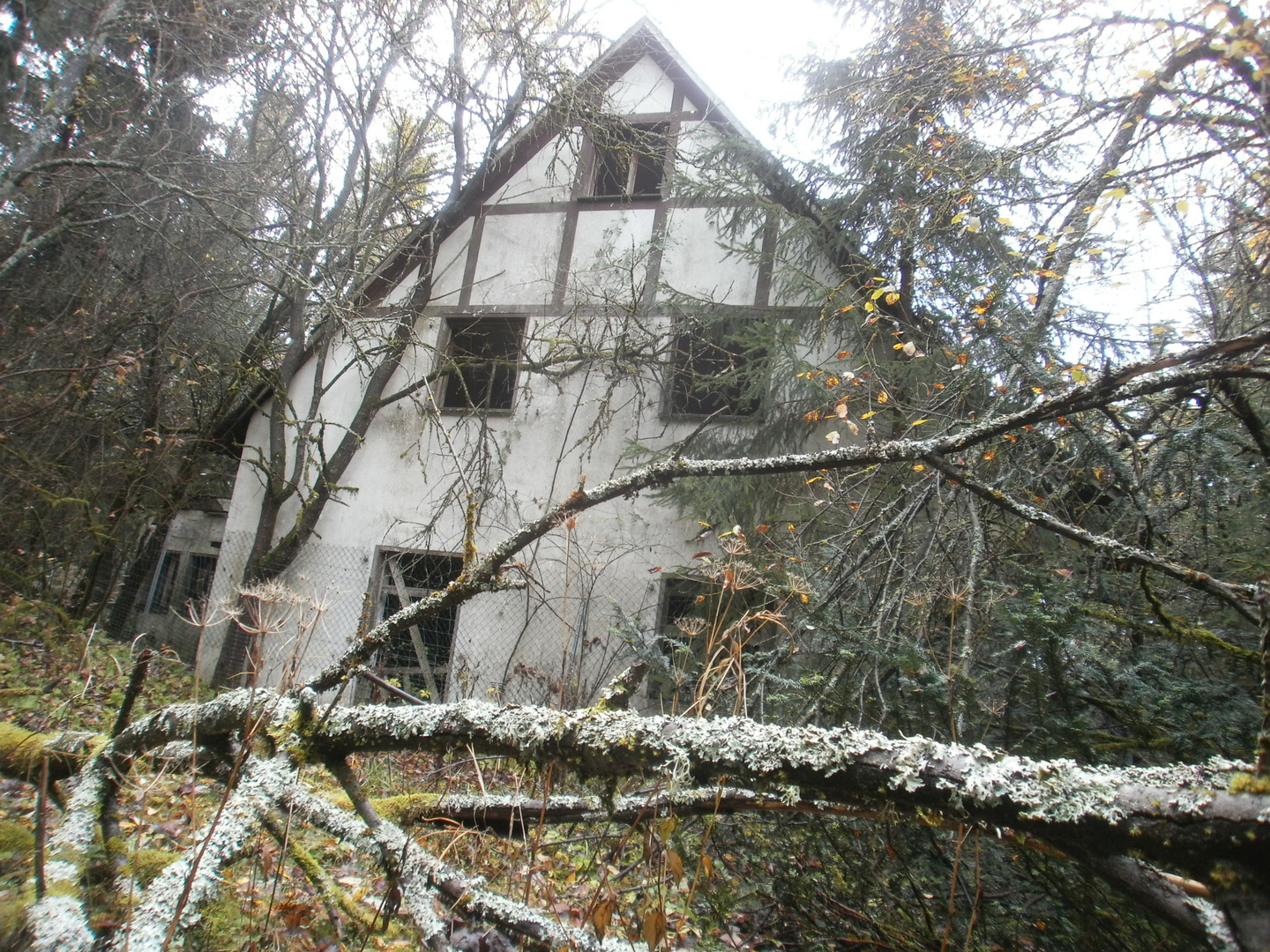 Das Haus im Wald