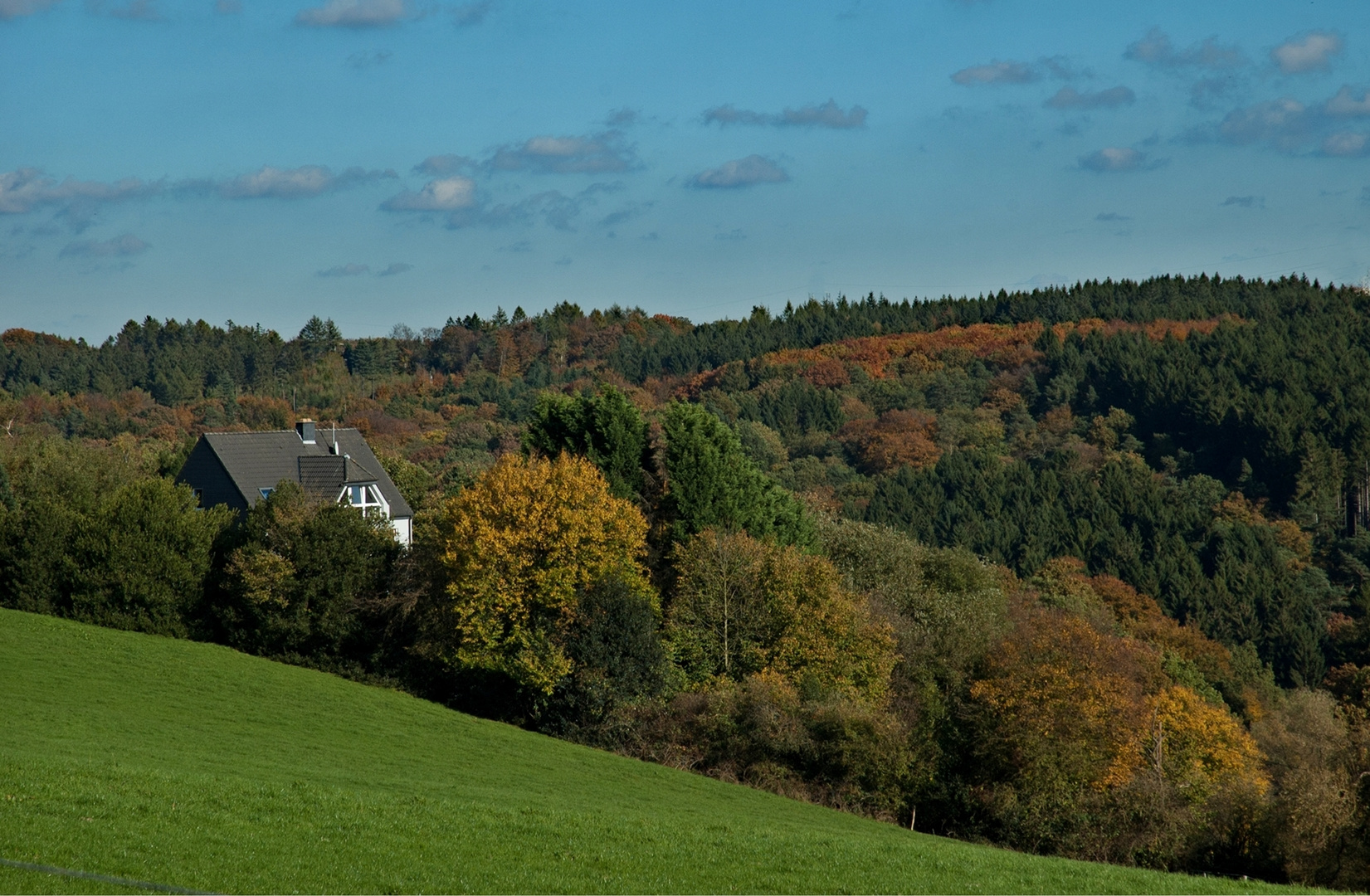 Das Haus im Wald