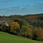 Das Haus im Wald