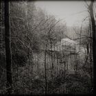 das Haus im Wald