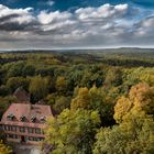 Das Haus im Wald