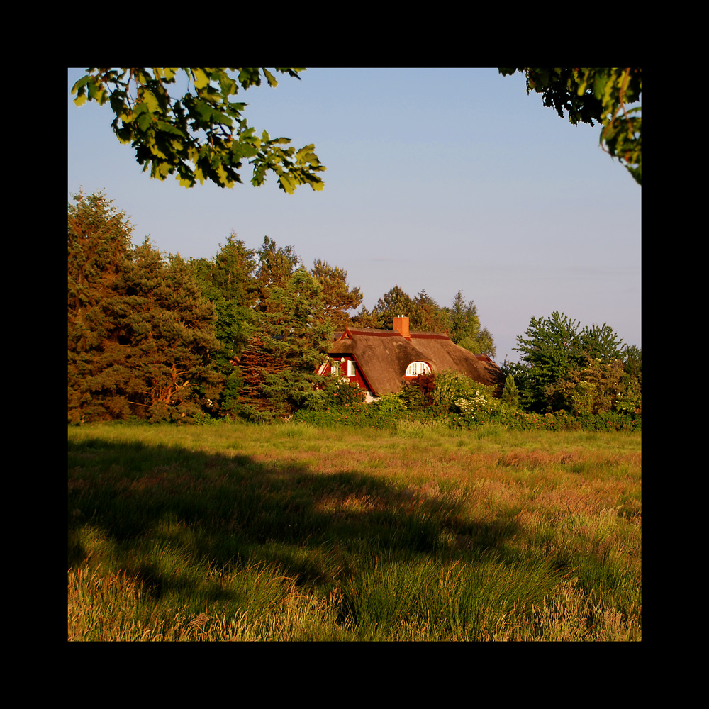 das haus im wald