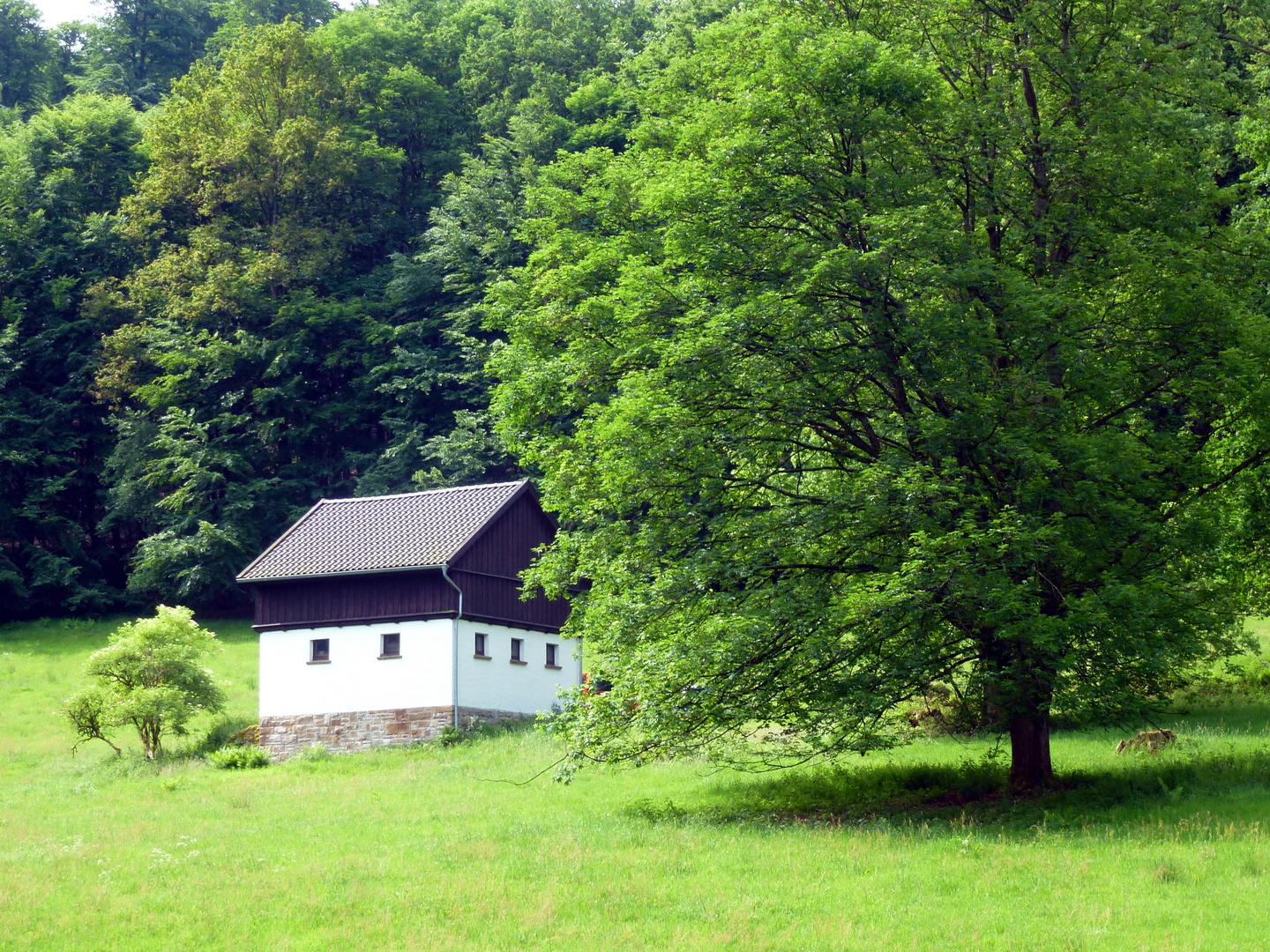 Das Haus im Wald....