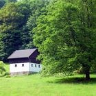 Das Haus im Wald....