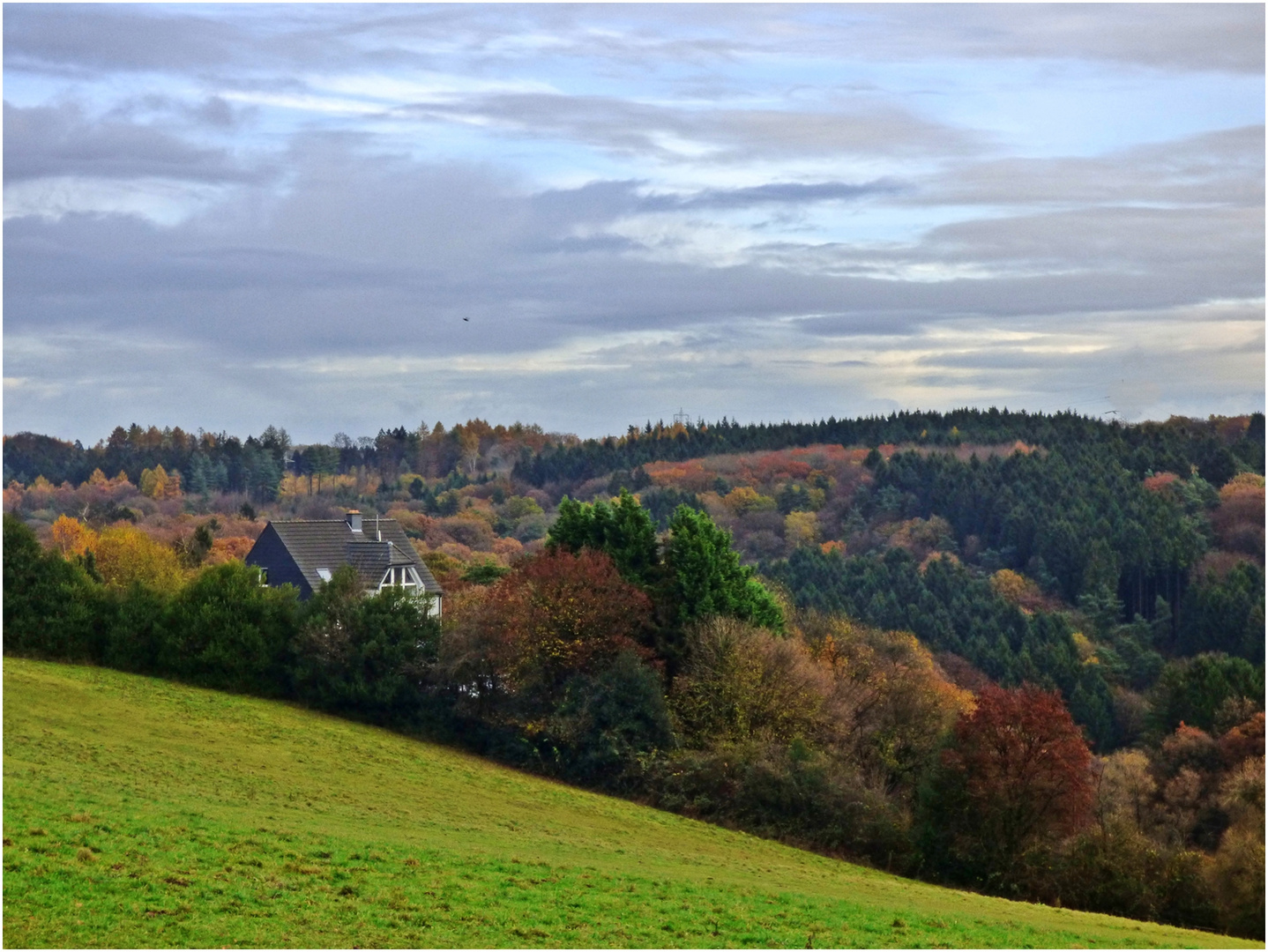 Das Haus im Wald