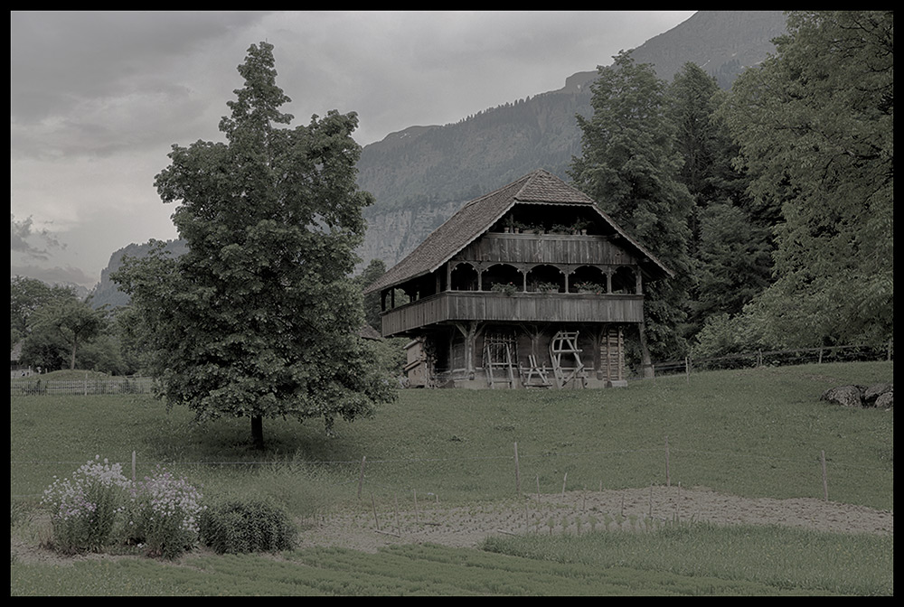 Das Haus im Wald