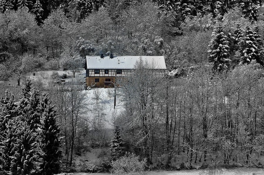 das Haus im Wald.....