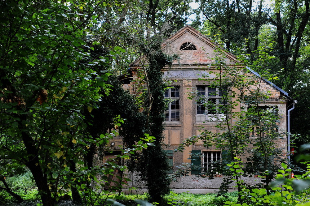 Das Haus Im Wald Foto Bild Deutschland Europe Sachsen Bilder
