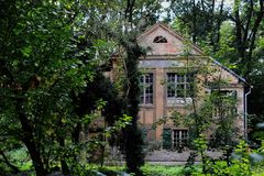 Das Haus im Wald