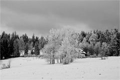 Das Haus im Wald