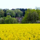 das Haus im Wald