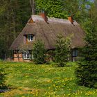 Das Haus im Wald