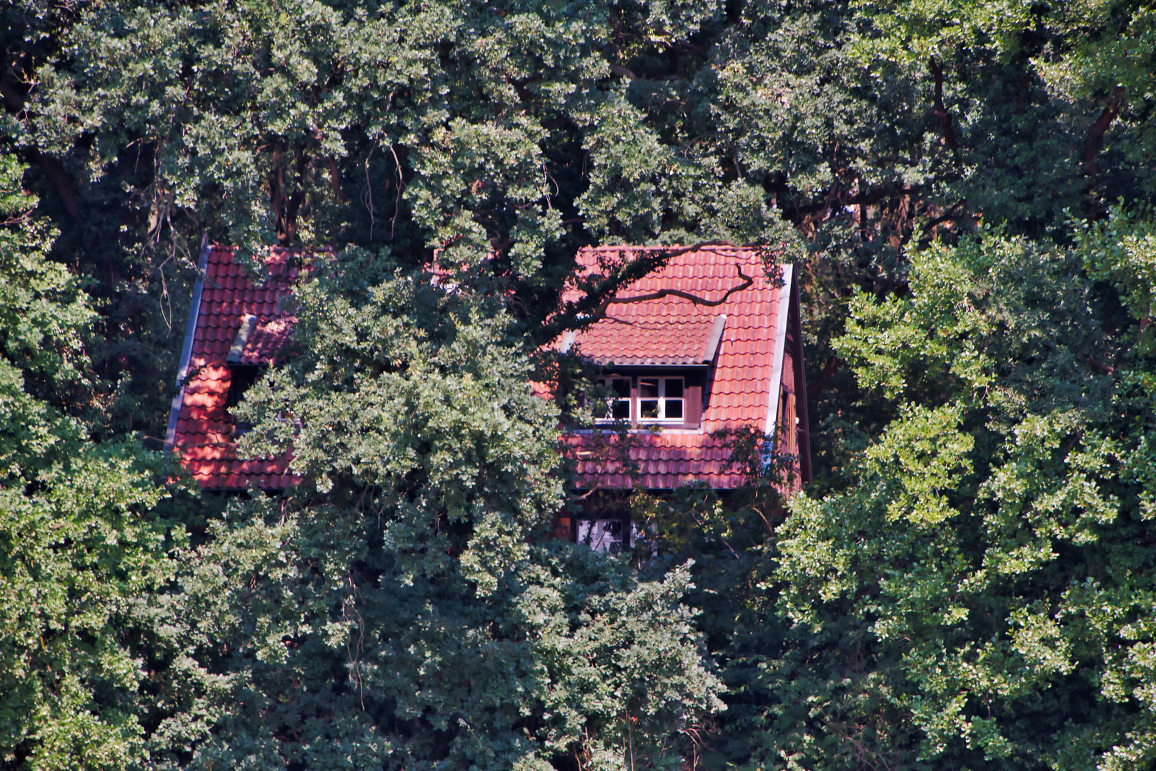 Das Haus im Wald