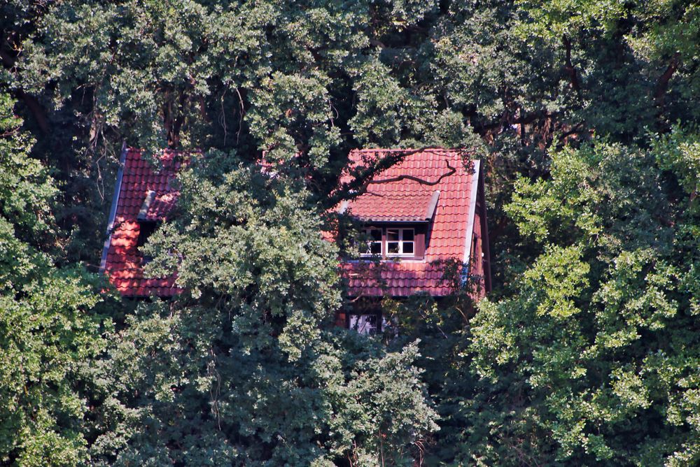 Das Haus im Wald Foto & Bild | spezial, wald, natur Bilder ...