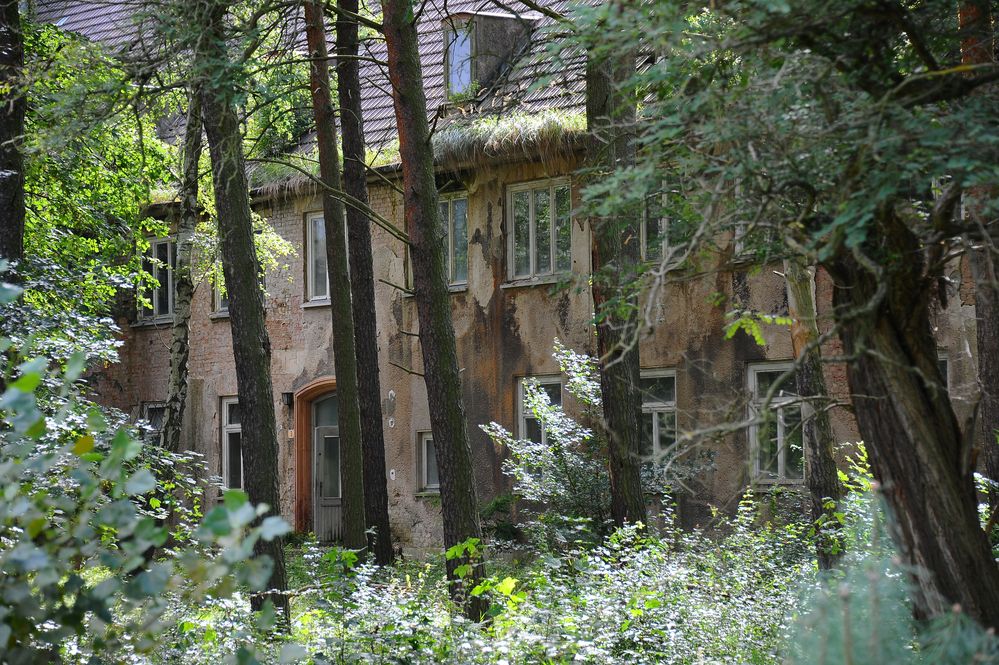 Das Haus im Wald II