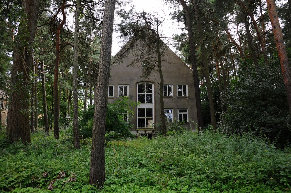 Das Haus im Wald III
