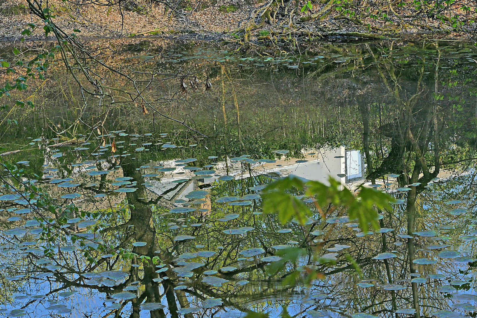 das Haus im Wasser