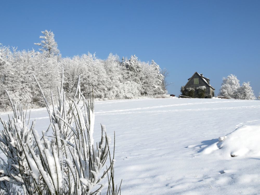 Das Haus im Zauberwald