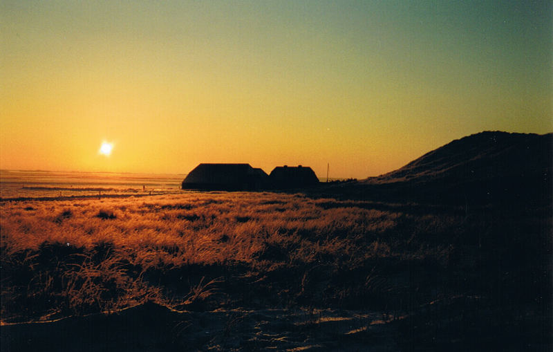 Das Haus in den Dünen