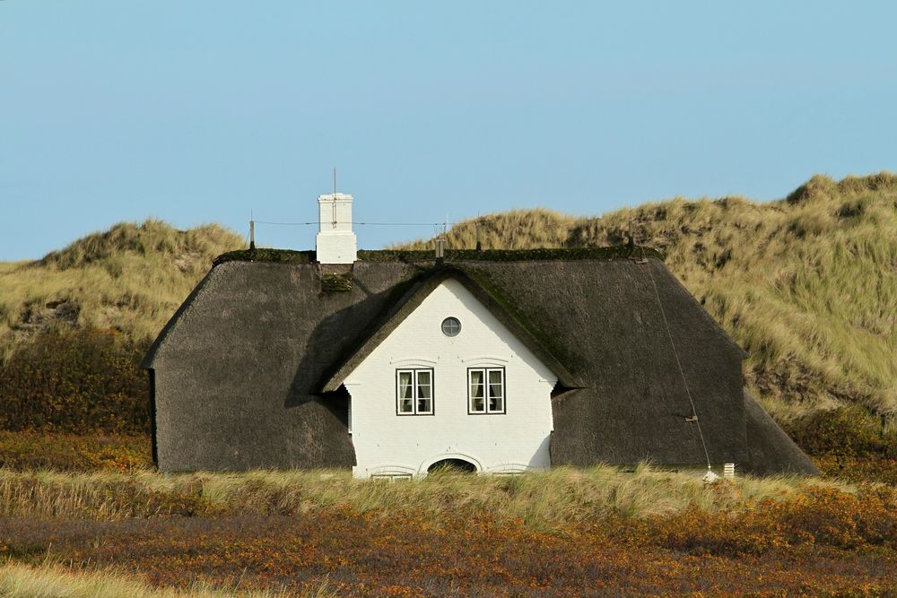 Das Haus in den Dünen