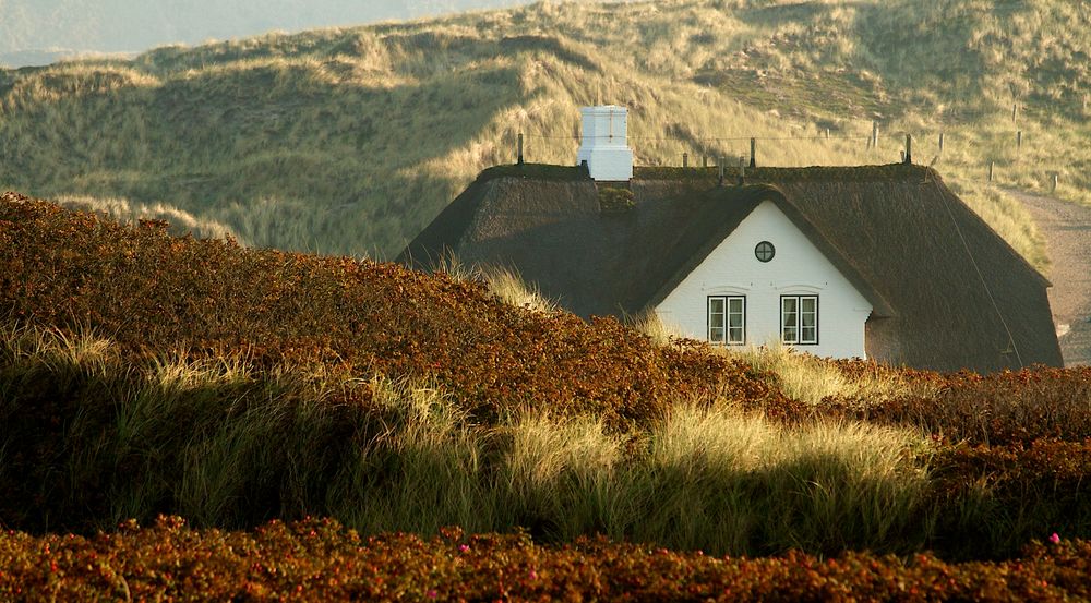 ...das Haus in den Dünen.