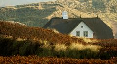 ...das Haus in den Dünen.