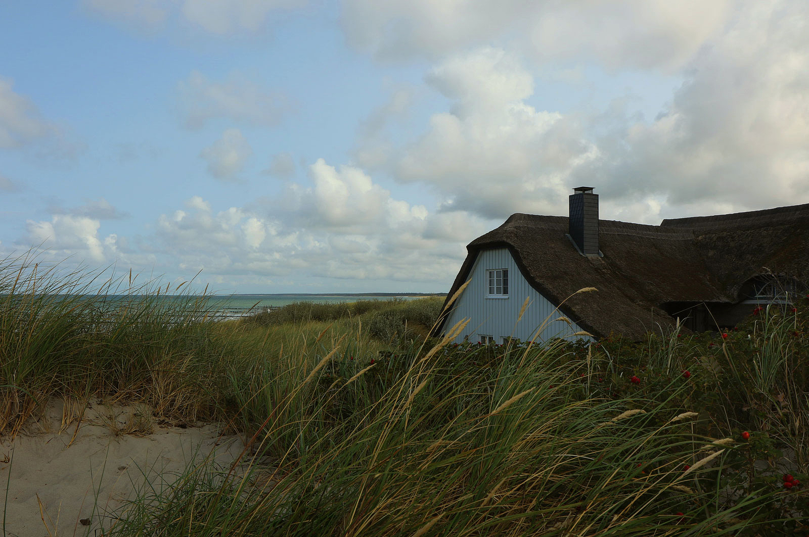 Das Haus in den Dünen