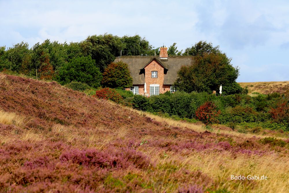 Das Haus in der Heide