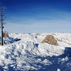 Das Haus über den Alpen