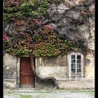 das Haus und der Baum