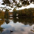 Das Heestal im Herbst