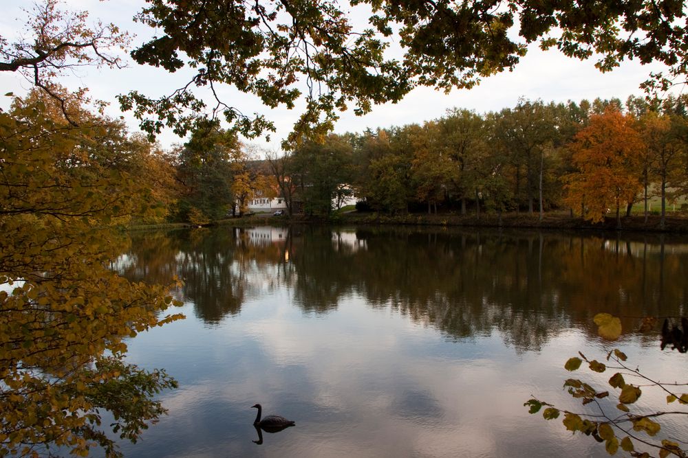 Das Heestal im Herbst