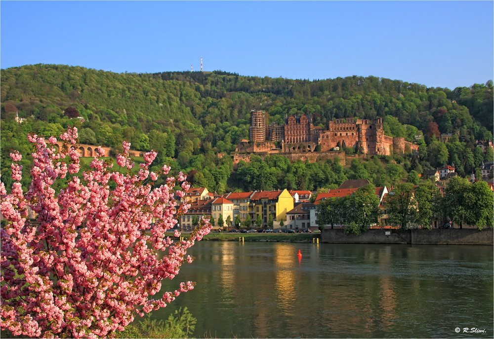 Das Heidelberger Schloss