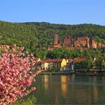 Das Heidelberger Schloss