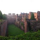 Das Heidelberger Schloss