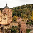 Das Heidelberger Schloss..